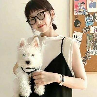 诚实国度的爱丽丝
